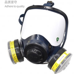 自吸过滤式防毒面具全面罩化工气体